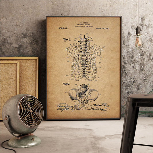 Vintage Skeleton Photo Wall Decor Medical Anatomy Poster